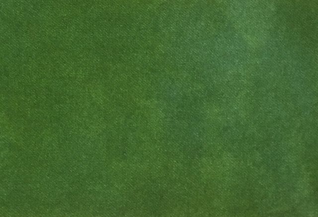 Fullsize Image